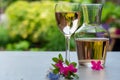 French rose wine served in garden in glass and carafe with colorful spring flowers