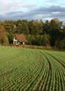 French rural landscape01 Royalty Free Stock Photo