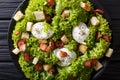 French salad Lyonnaise with lettuce, crispy bacon, croutons and Royalty Free Stock Photo