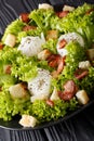 French salad Lyonnaise with lettuce, crispy bacon, croutons and Royalty Free Stock Photo