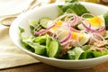 French salad Nicoise - with tuna