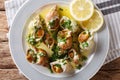 French seafood: cooked whelk with a sauce of butter, garlic and
