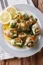 French seafood: cooked whelk with a sauce of butter, garlic and