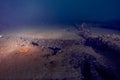 French ship wreck underwater Lebanon