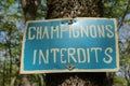 French sign declaring Champignons Interdits