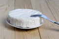 French soft cheese Coulommiers of the Brie family with a bloomy rind