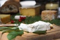 French soft cheese(fromage), currants(groseilles) french bread (pain) and mustard (moutarde) from Rhone-Alps region of France