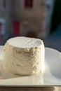 French soft white goat cheese served outdoor in sunlights Royalty Free Stock Photo