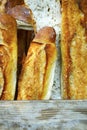 Assortment of french sourdough bread sold in bakery