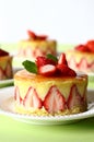 French strawberry cake Royalty Free Stock Photo