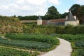 french style vegetable garden of a medieval castle - touraine - france Royalty Free Stock Photo