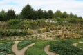 french style vegetable garden of a medieval castle - touraine - france Royalty Free Stock Photo