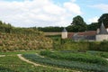 french style vegetable garden of a medieval castle - touraine - france Royalty Free Stock Photo