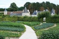 french style vegetable garden of a medieval castle - touraine - france Royalty Free Stock Photo