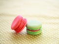 A french sweet delicacy, macaroons variety