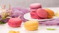 French sweet macarons Royalty Free Stock Photo