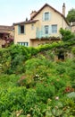 French town house with summer garden Royalty Free Stock Photo