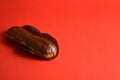 French traditional dessert eclair with dark chocolate on top filled with custard served on red background Royalty Free Stock Photo