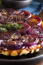 French traditional rustic onion Tarte tatin
