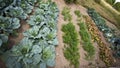 French vegetable garden Royalty Free Stock Photo