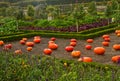 French vegetable garden Royalty Free Stock Photo