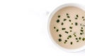 French vichyssoise soup in bowl Royalty Free Stock Photo