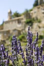 French Village, lavender flowers. Provence. Royalty Free Stock Photo