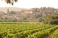 French Village in sunset, with vineyard. Royalty Free Stock Photo