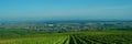 French vineyard Royalty Free Stock Photo