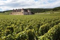 French vineyard chateau Burgundy, France, wine grapes growing Royalty Free Stock Photo
