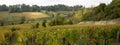 French vineyards in Saint Emilion village hill Bordeaux in France in web banner template header Royalty Free Stock Photo