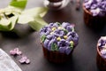 French violet trendy floral cupcakes with lilac flowers. Violet sweet no sugar dessert close up. Aesthetic food