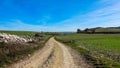 Lonley Road -The french Way of `Camino de Santiago` in Winter. Pilgrimages on their journey through Spain Royalty Free Stock Photo