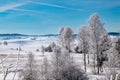 French winter landscape