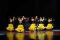 The French yellow roses-The French Cancan-the Austria's world Dance