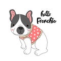 Hello Frenchie, French bulldog wear pink shirt cartoon illustration