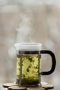 Frenchpress with hot green tea in front of the window Royalty Free Stock Photo