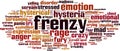 Frenzy word cloud