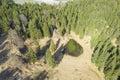 Freost trees with mountain tarn and meadow at spring