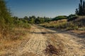 A frequently used dirt road