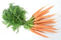 Fresch carrot