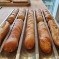 Fresch gold baquettes on baking tray in a bakery, food and bakery concept