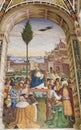 Fresco in Piccolomini Library, Siena - Launch of a crusade in An Royalty Free Stock Photo