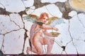 Fresco winged cupid in a Domus of the ancient Pompeii Royalty Free Stock Photo