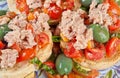 Fresella italian bread with tuna and tomatoes Royalty Free Stock Photo