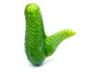 Fresh Abnormal Cucumber with Penis-Like Shape Deviation Royalty Free Stock Photo