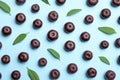 Fresh acai berries with leaves on blue background,