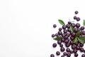 Fresh acai berries on white background