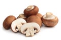 Fresh agaricus bisporus or portobello mushrooms Royalty Free Stock Photo