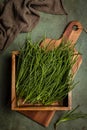 Fresh Agretti or barba dei frati, edible green plant.